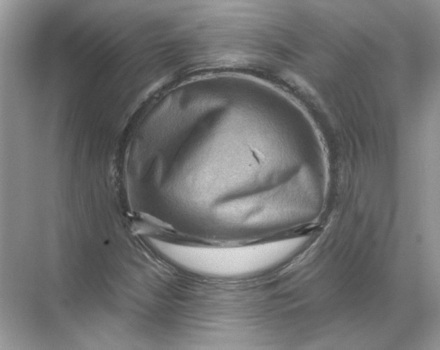 X0000071761210200607220001