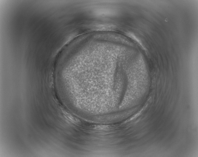 X0000071761211200607220001