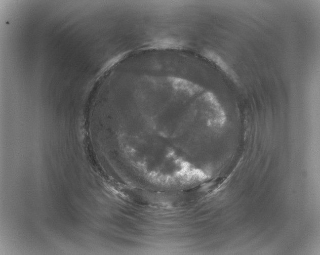 X0000071761213200607220001