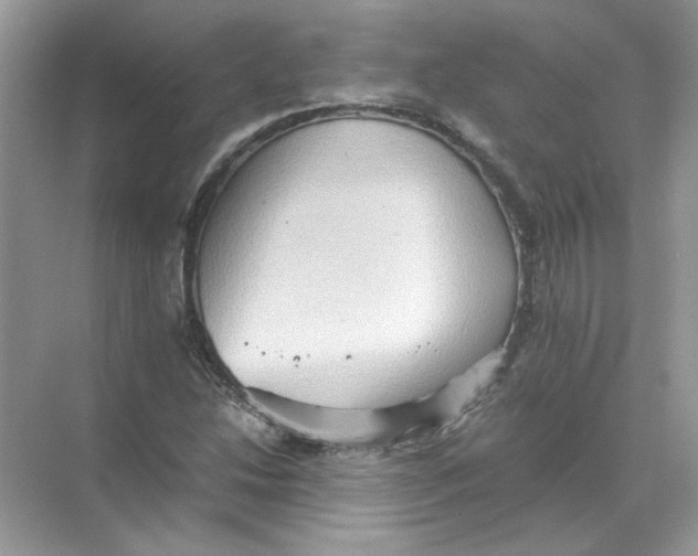 X0000071761214200607220001