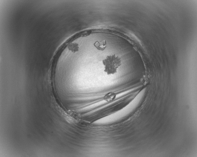 X0000071761216200607220001