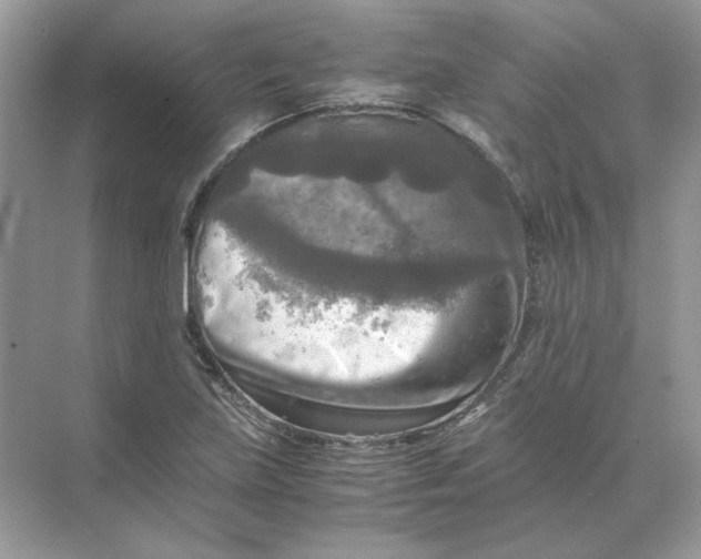 X0000071761219200607220001