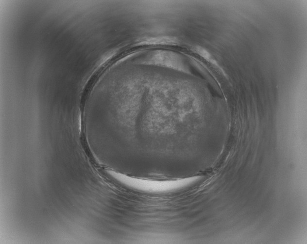 X0000071761221200607220001