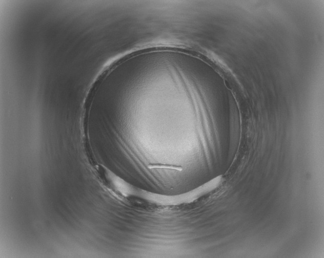 X0000071761222200607220001