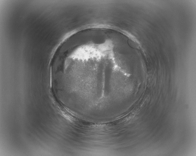 X0000071761223200607220001