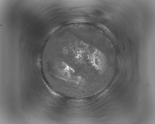 X0000071761225200607220001