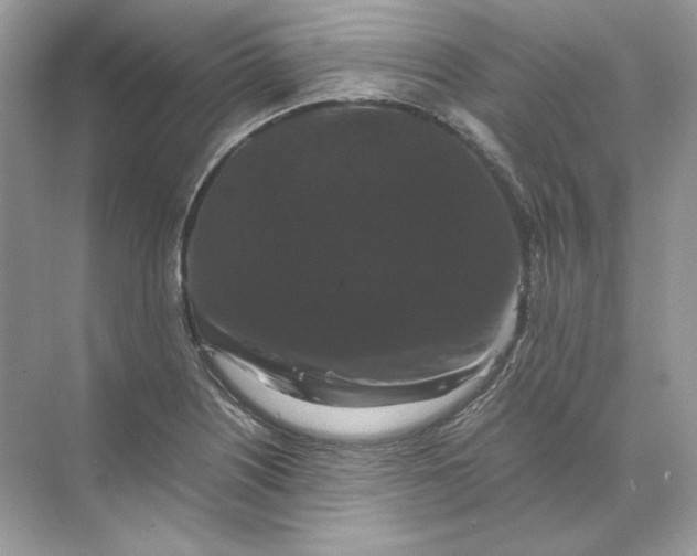 X0000071761226200607220001