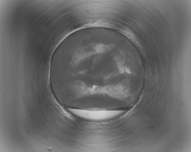 X0000071761228200607220001