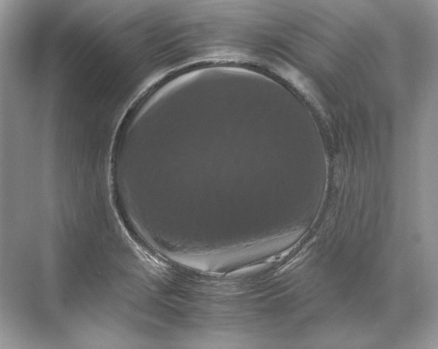 X0000071761229200607220001