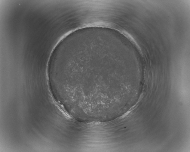 X0000071761230200607220001