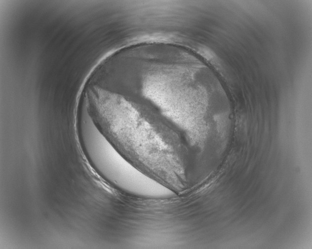 X0000071761232200607220001