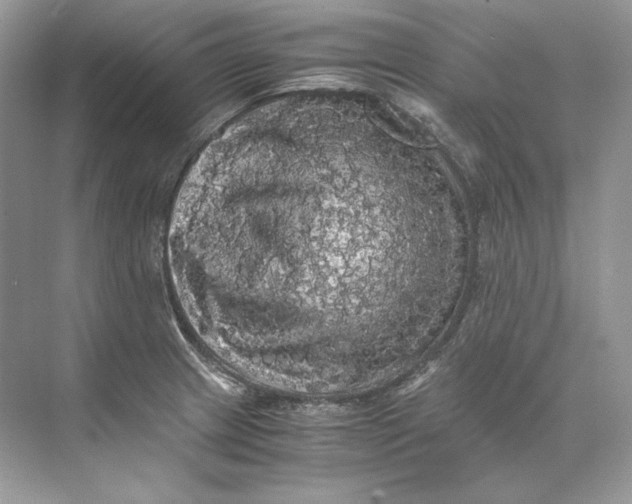 X0000071761233200607220001