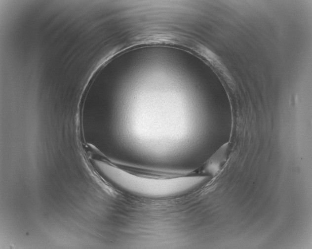 X0000071761234200607220001