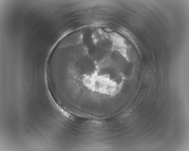 X0000071761235200607220001