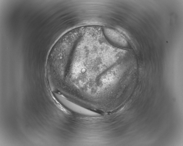 X0000071761236200607220001