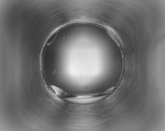 X0000071761238200607220001