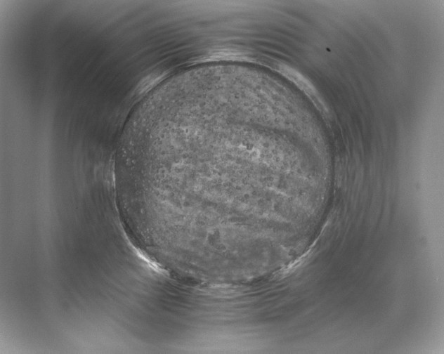 X0000071761241200607220001