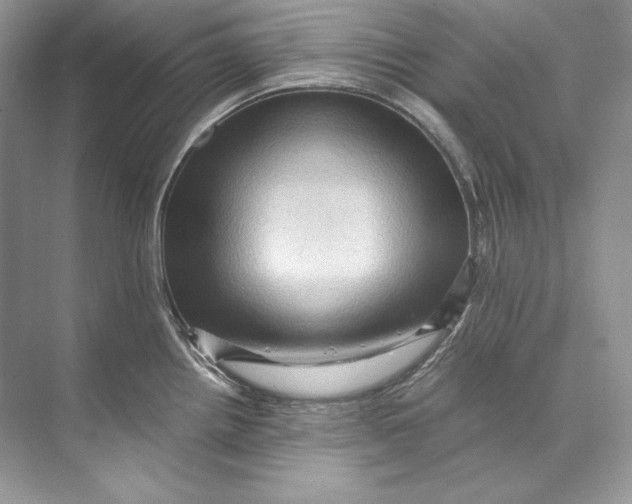 X0000071761242200607220001