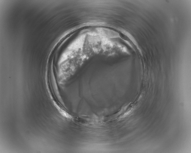 X0000071761245200607220001