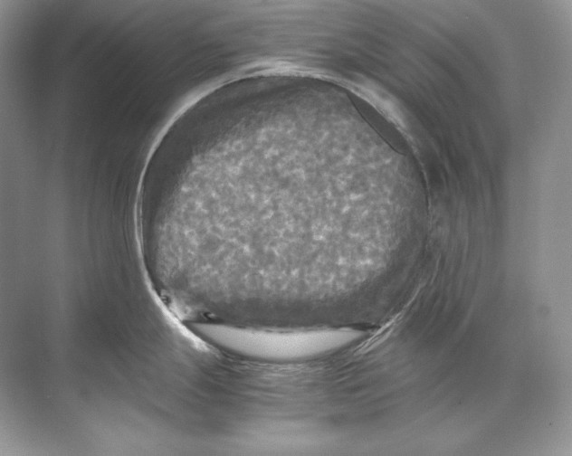 X0000071761247200607220001