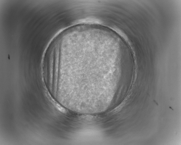 X0000071761248200607220001