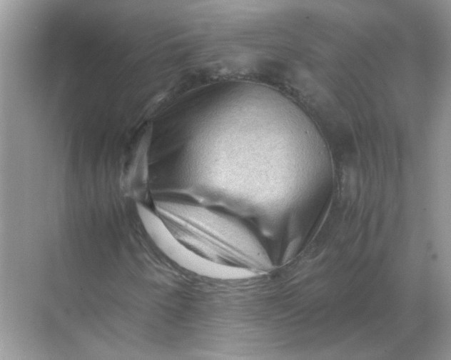 X0000071761250200607220001