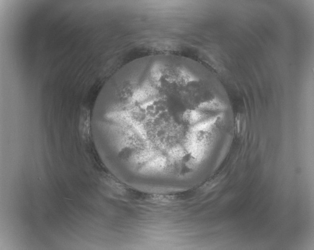 X0000071761251200607220001