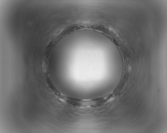 X0000071761253200607220001