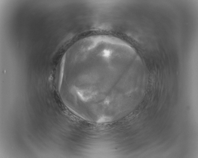 X0000071761254200607220001