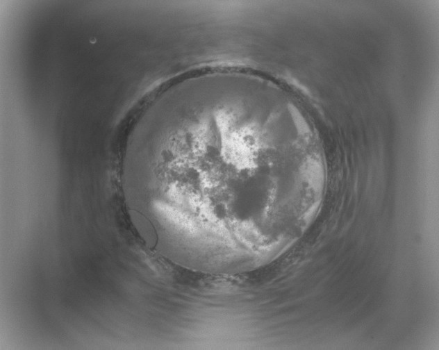 X0000071761255200607220001