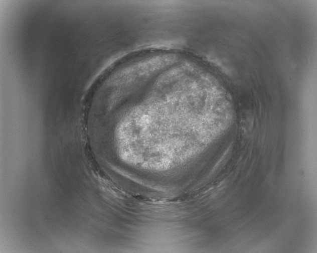 X0000071761256200607220001