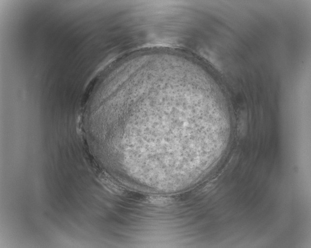 X0000071761258200607220001