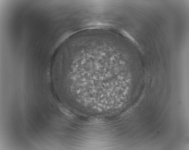 X0000071761259200607220000