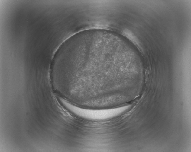 X0000071761260200607220000