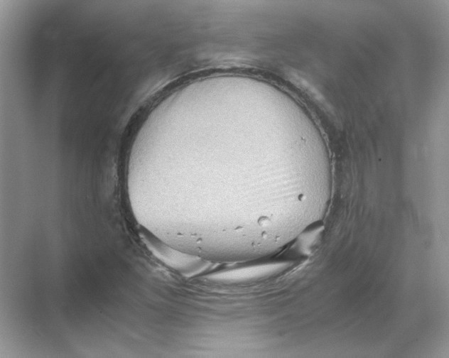 X0000071761261200607220000