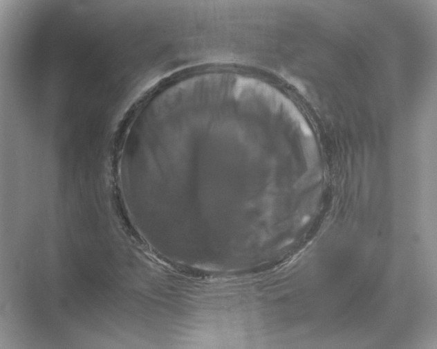 X0000071761263200607220000