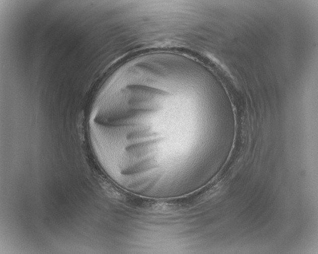 X0000071761265200607220000