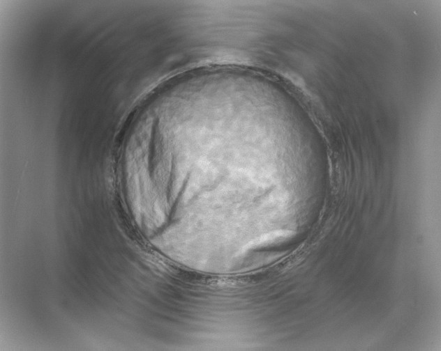 X0000071761266200607220000