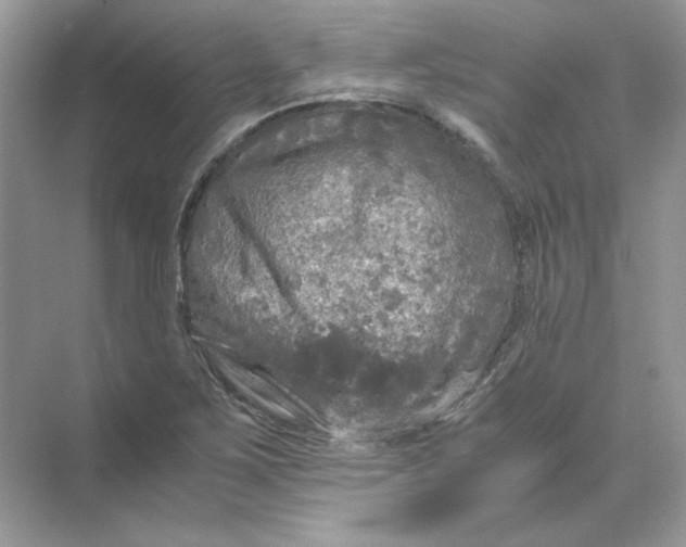 X0000071761267200607220000