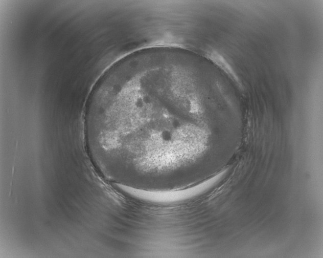 X0000071761268200607220000