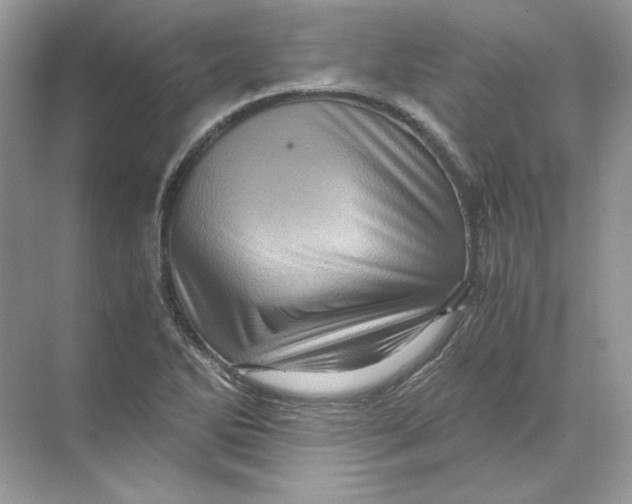 X0000071761270200607220000