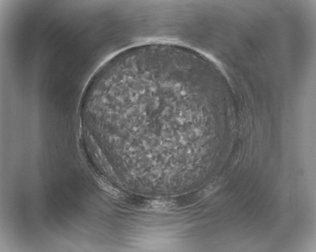 X0000071761271200607220000