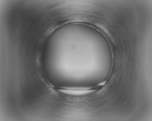 X0000071761273200607220000