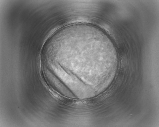 X0000071761274200607220000