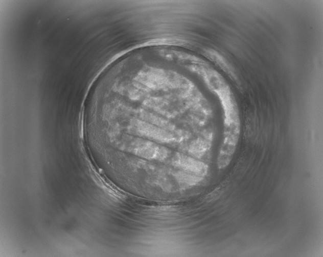 X0000071761276200607220000