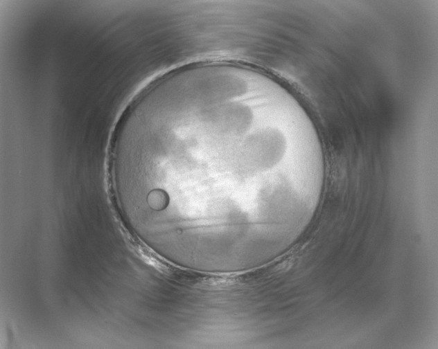 X0000071761278200607220000