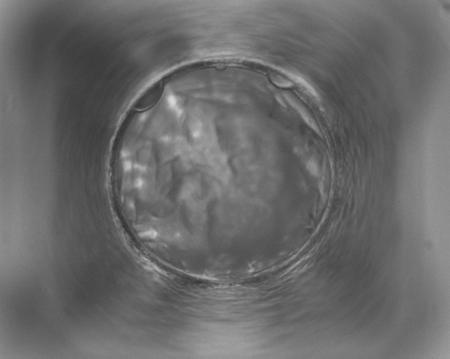 X0000071761279200607220000