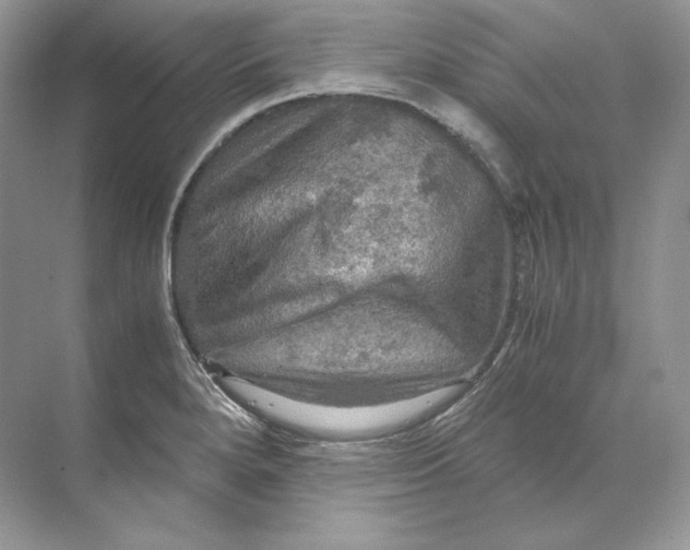 X0000071761280200607220000