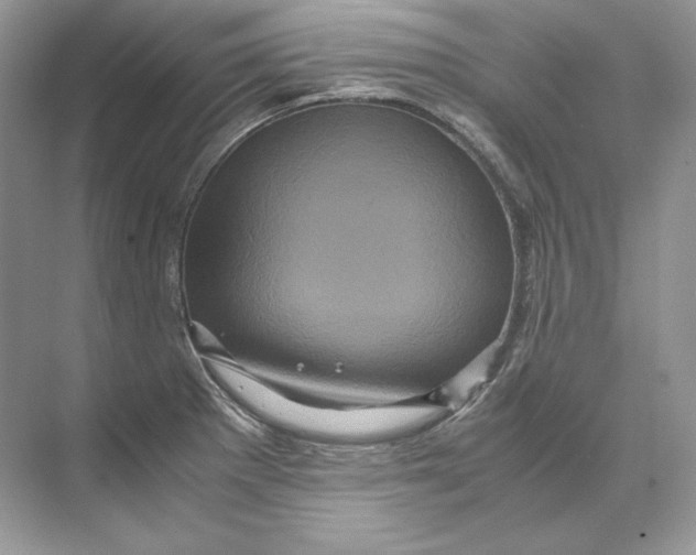 X0000071761281200607220000