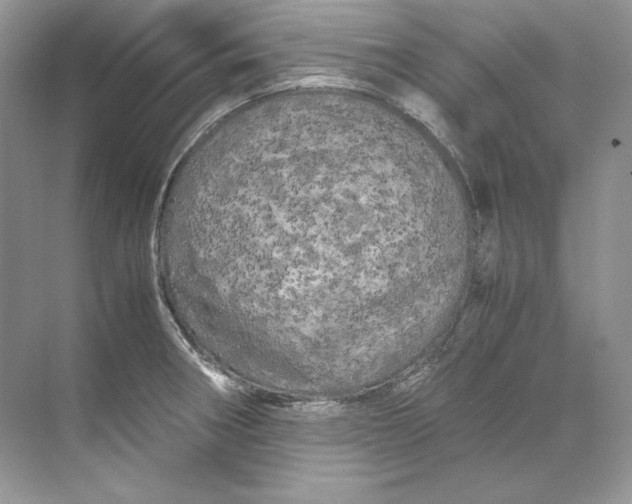 X0000071761282200607220000